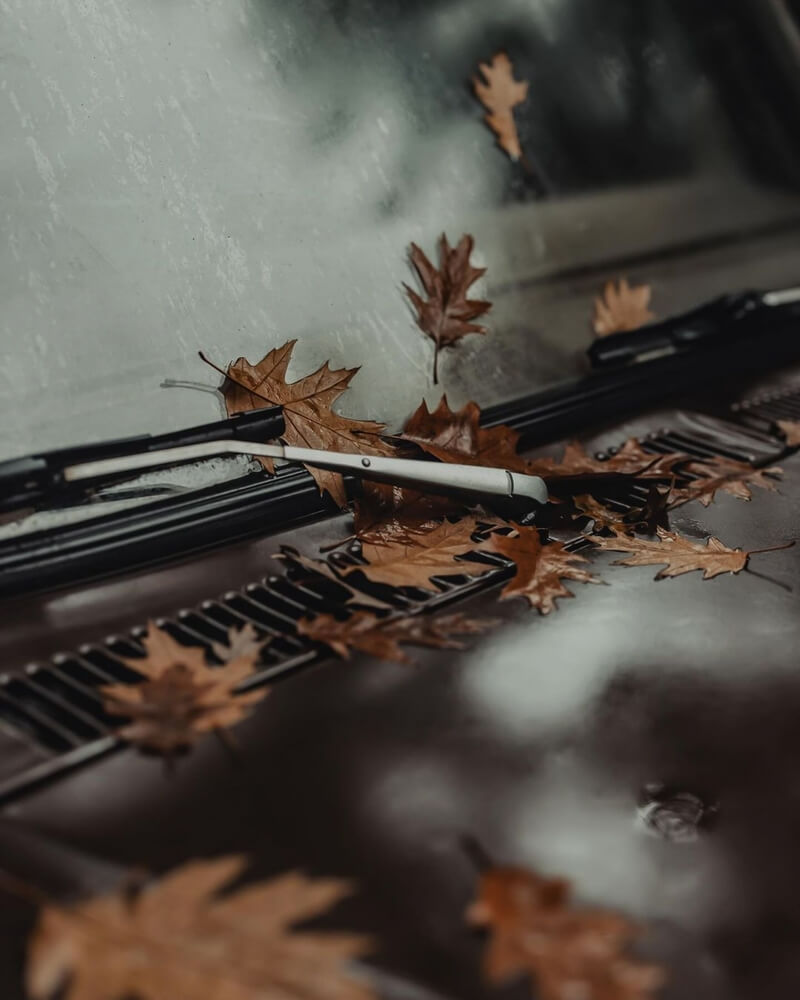 Autumn Car Leaf Driver Fine Warning UK